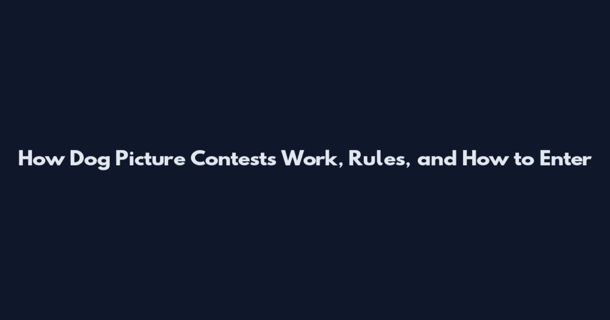 How Dog Picture Contests Work, Rules, and How to Enter