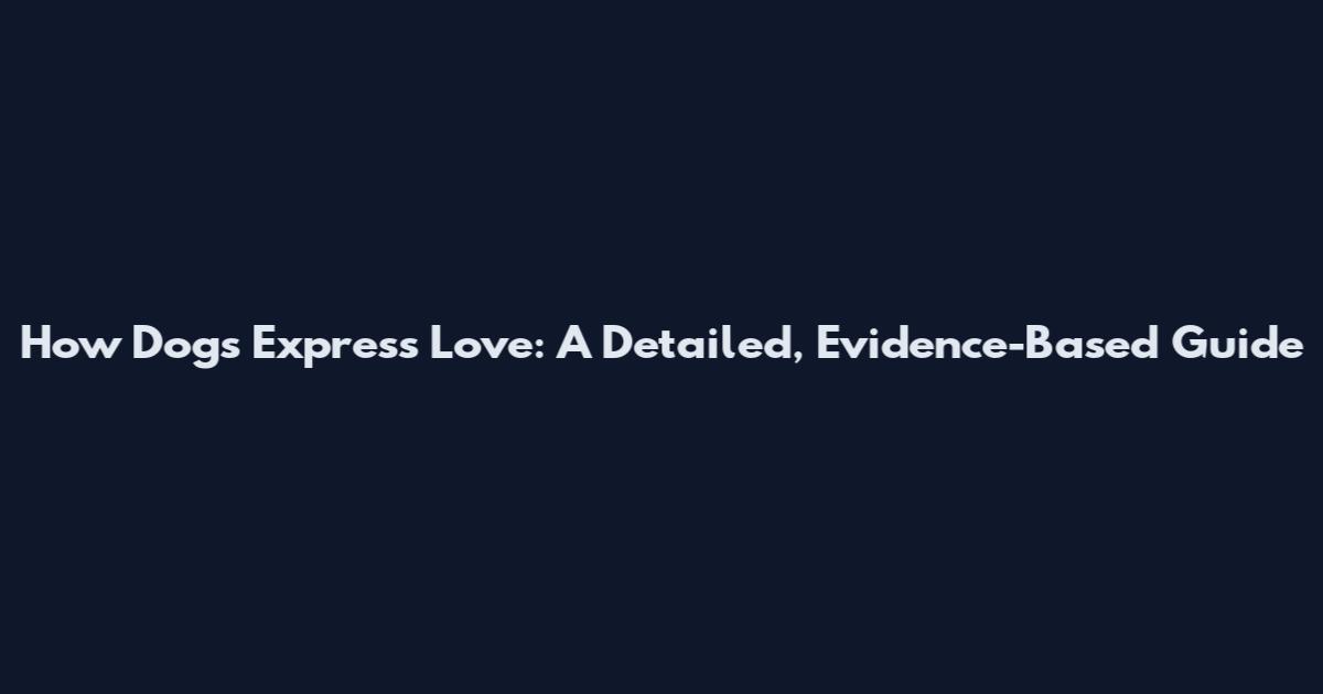 How Dogs Express Love: A Detailed, Evidence-Based Guide