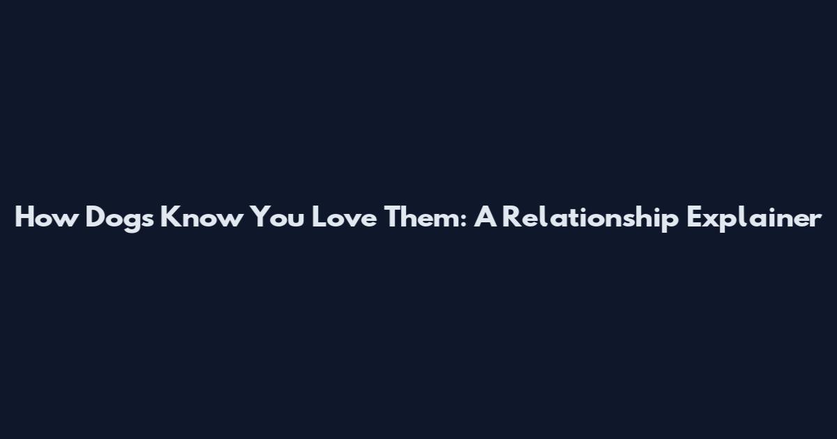 How Dogs Know You Love Them: A Relationship Explainer