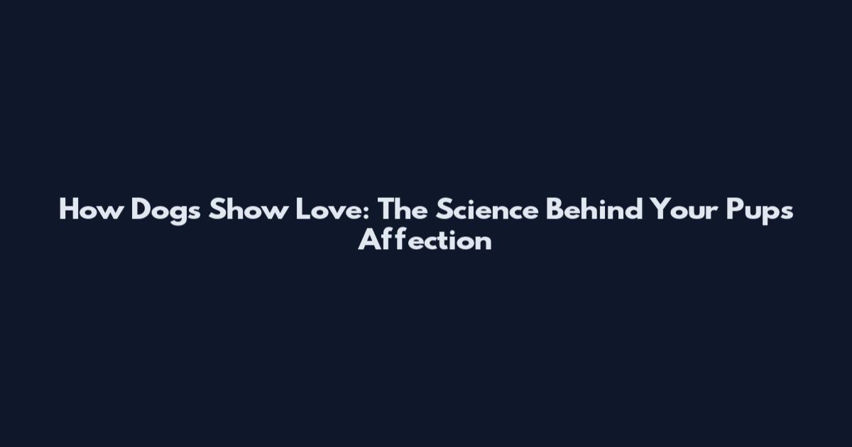 How Dogs Show Love: The Science Behind Your Pup's Affection