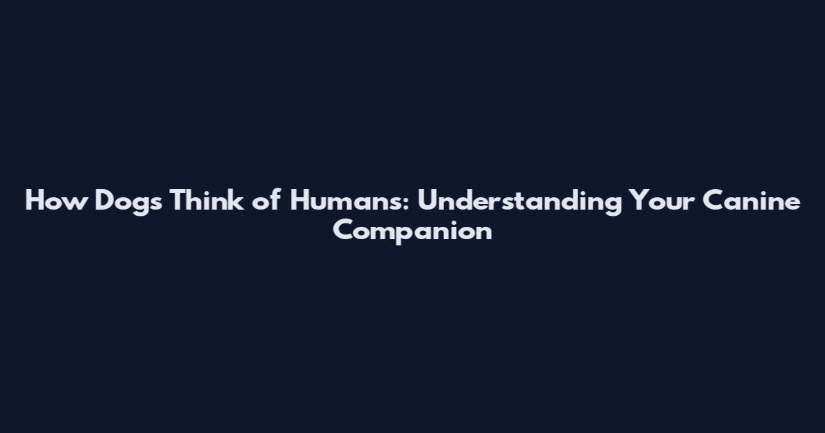 How Dogs Think of Humans: Understanding Your Canine Companion