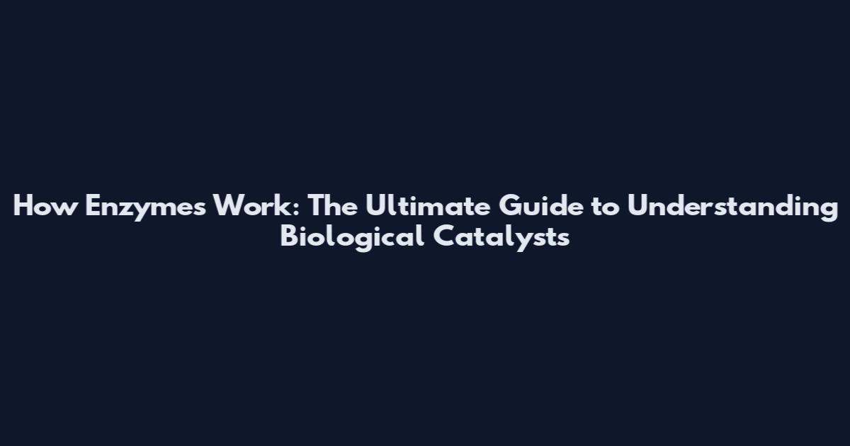 How Enzymes Work: The Ultimate Guide to Understanding Biological Catalysts