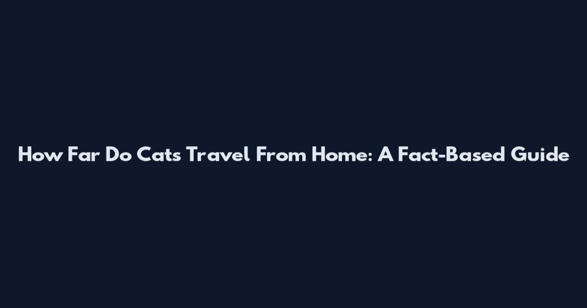 How Far Do Cats Travel From Home: A Fact-Based Guide