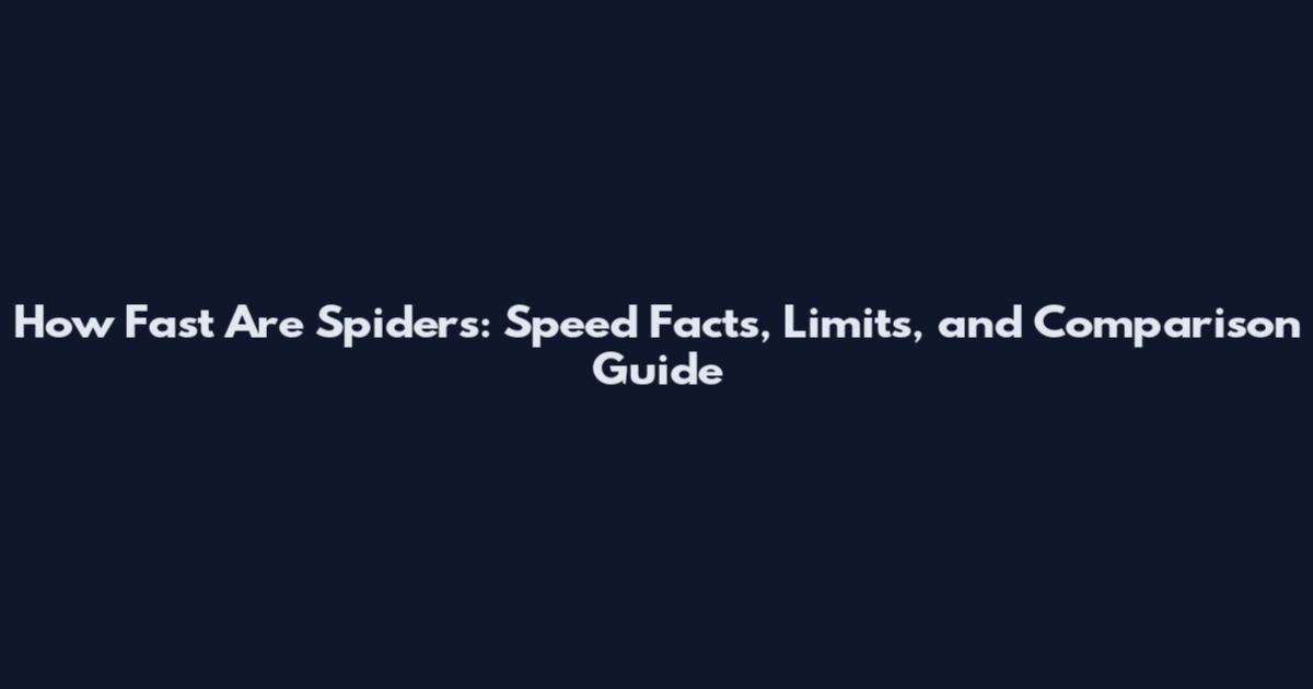 How Fast Are Spiders: Speed Facts, Limits, and Comparison Guide