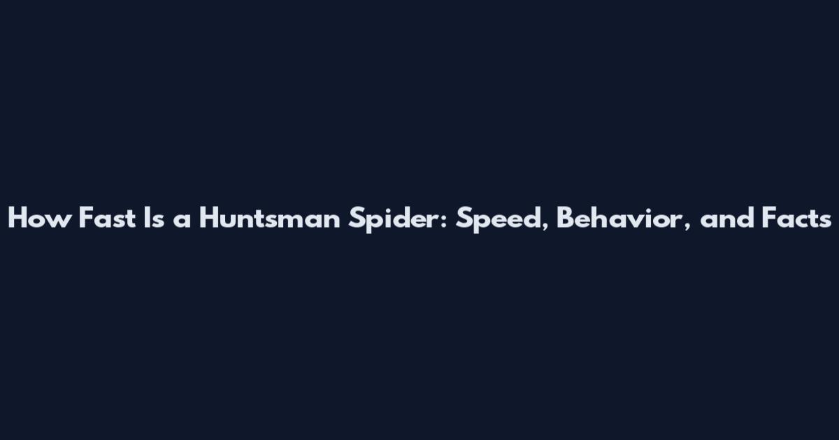 How Fast Is a Huntsman Spider: Speed, Behavior, and Facts