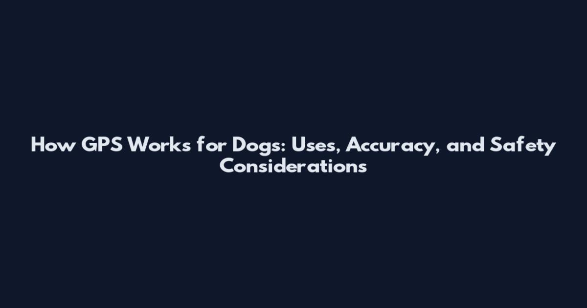 How GPS Works for Dogs: Uses, Accuracy, and Safety Considerations