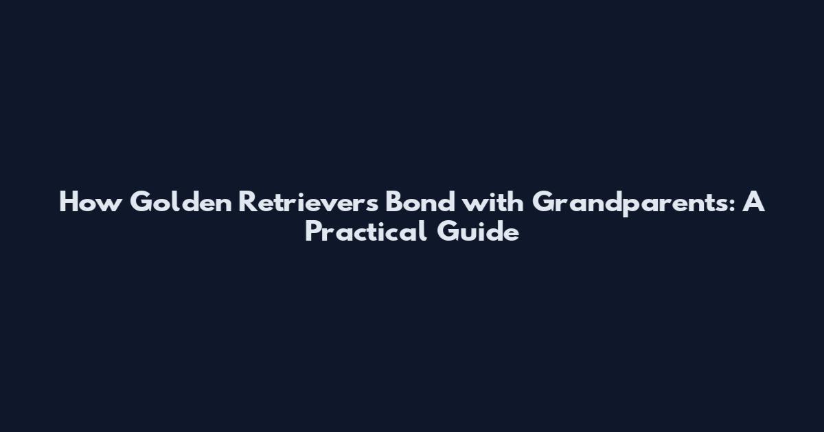 How Golden Retrievers Bond with Grandparents: A Practical Guide