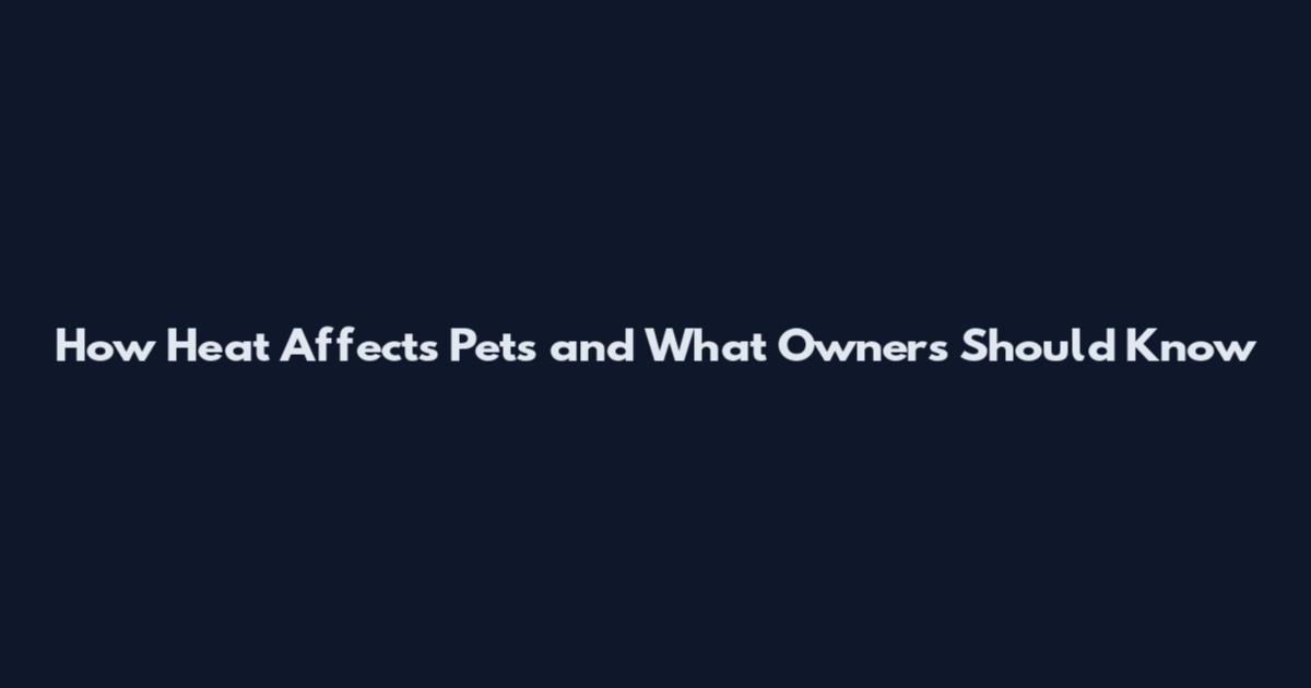 How Heat Affects Pets and What Owners Should Know