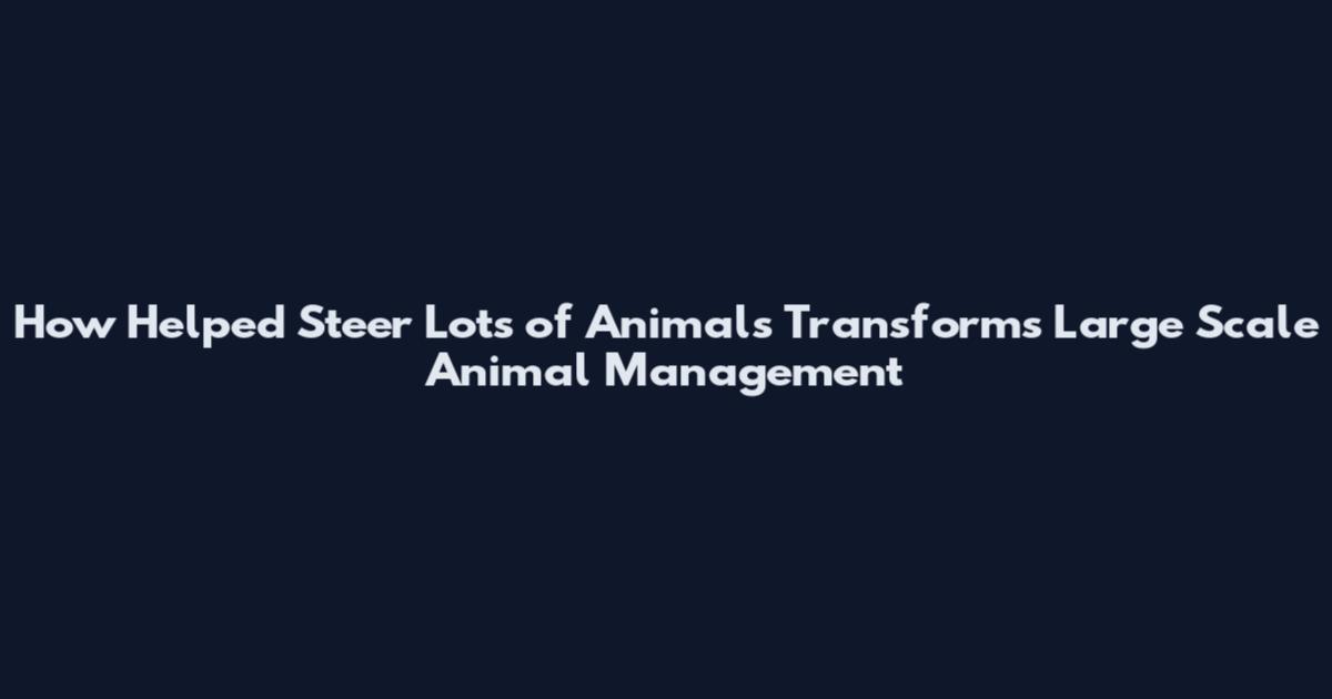 How Helped Steer Lots of Animals Transforms Large Scale Animal Management
