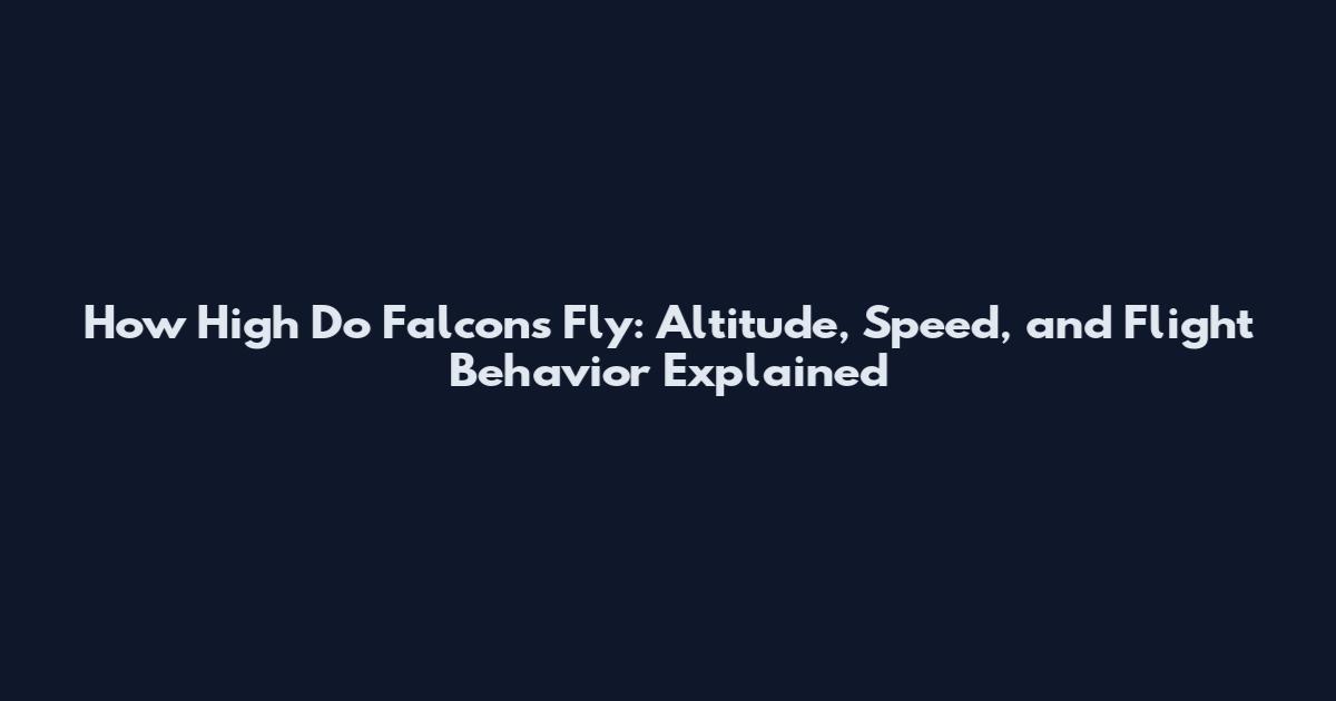 How High Do Falcons Fly: Altitude, Speed, and Flight Behavior Explained