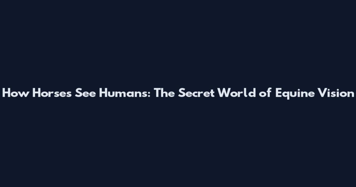 How Horses See Humans: The Secret World of Equine Vision
