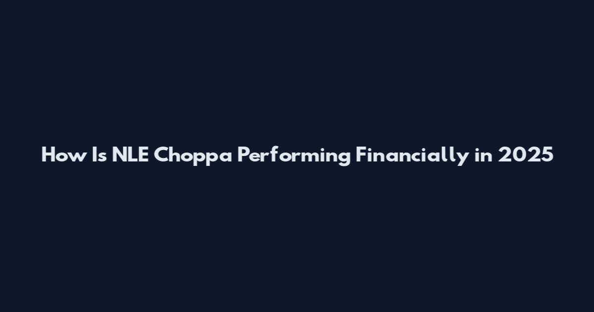How Is NLE Choppa Performing Financially in 2025