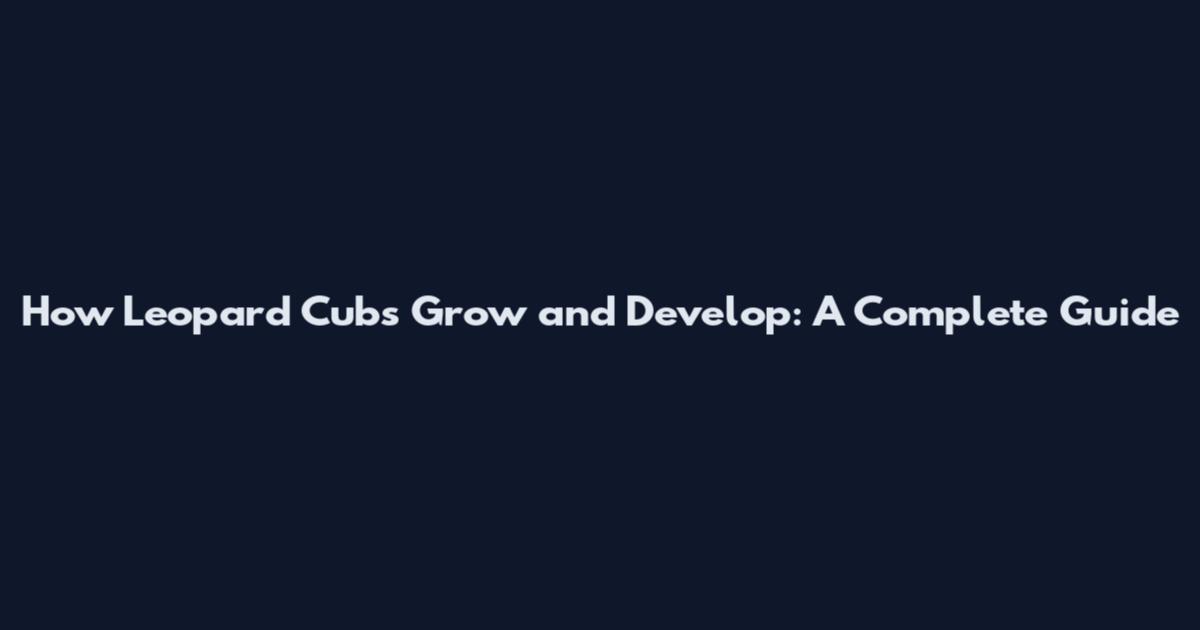 How Leopard Cubs Grow and Develop: A Complete Guide