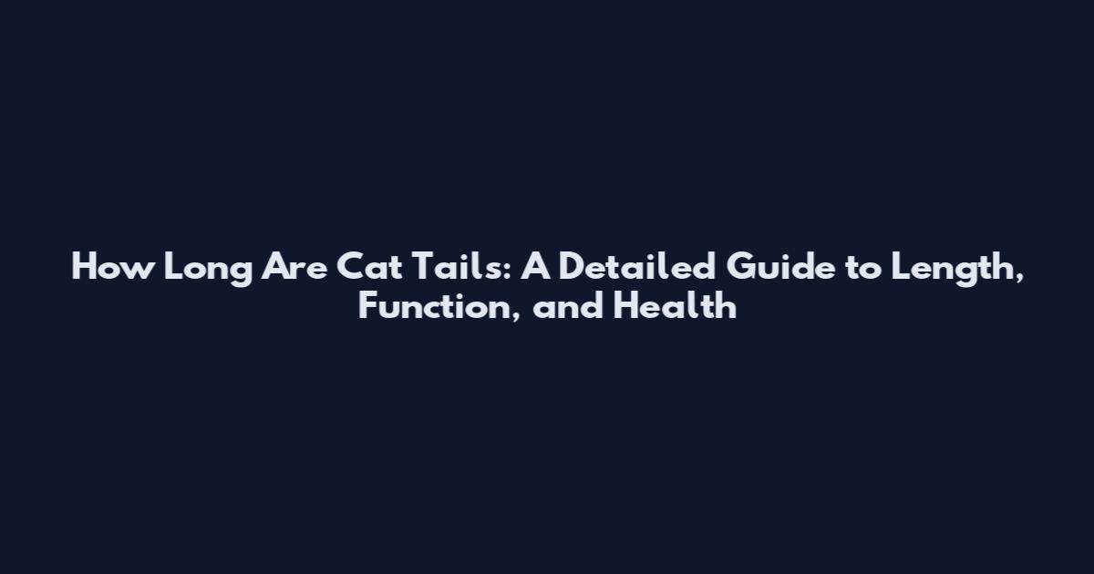 How Long Are Cat Tails: A Detailed Guide to Length, Function, and Health