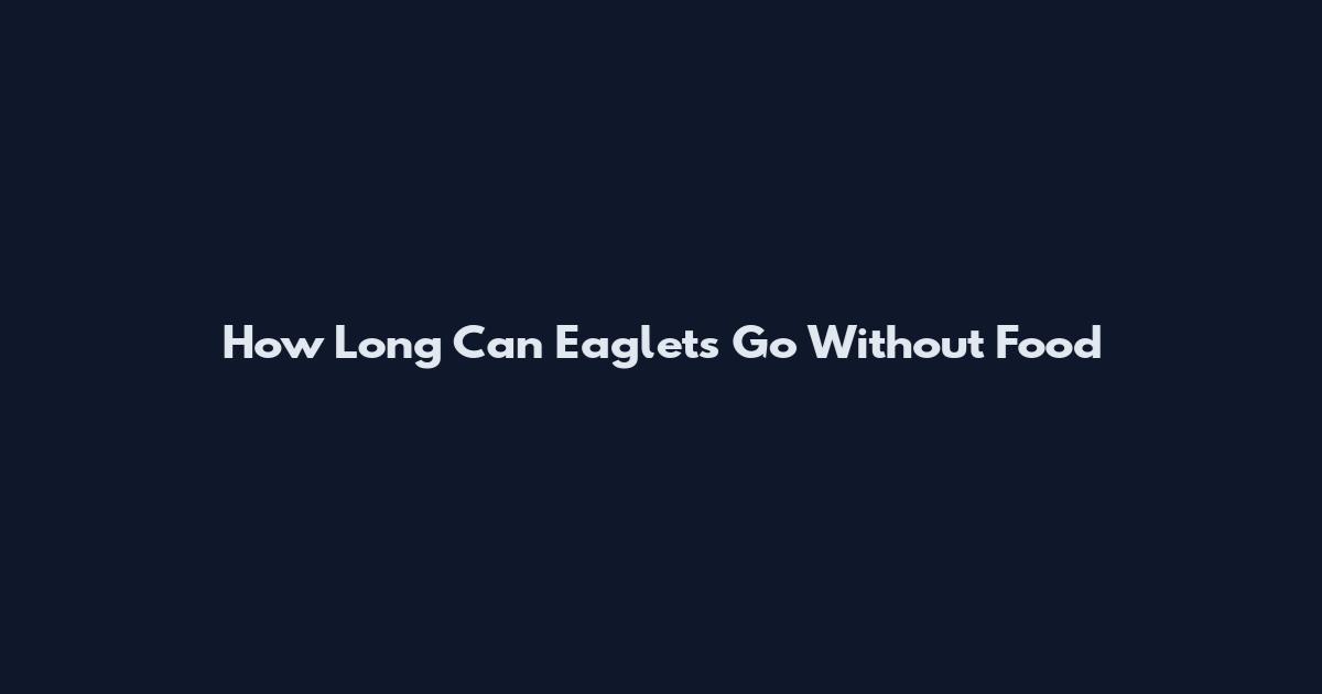 How Long Can Eaglets Go Without Food