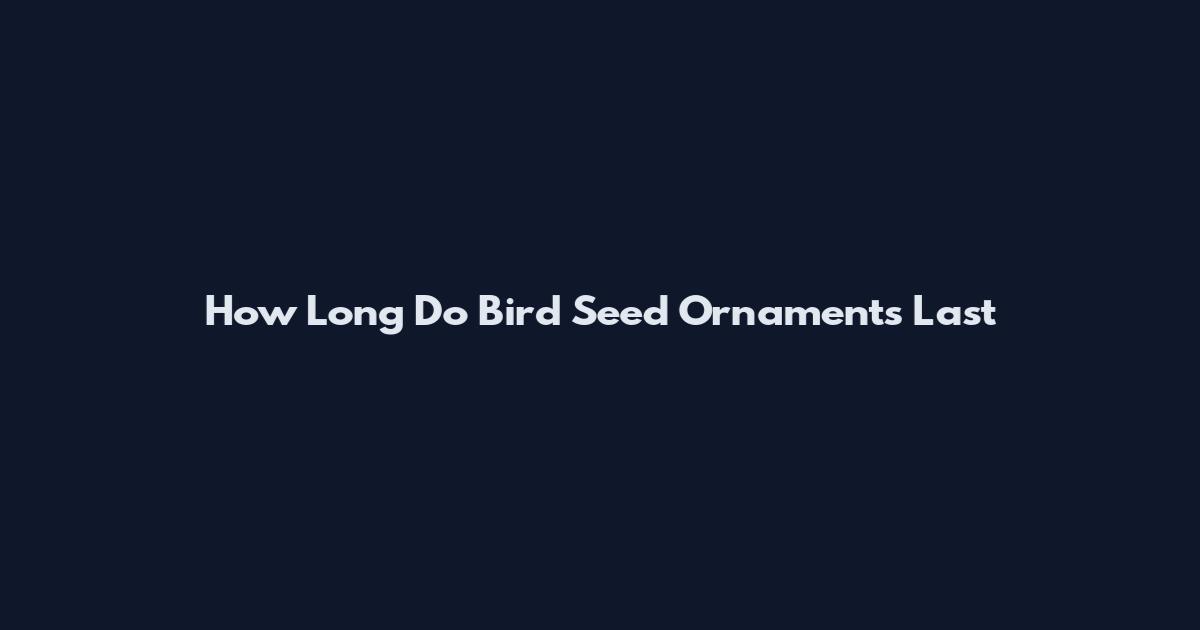How Long Do Bird Seed Ornaments Last