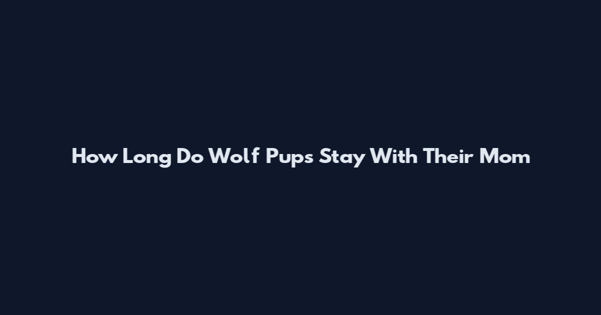 How Long Do Wolf Pups Stay With Their Mom