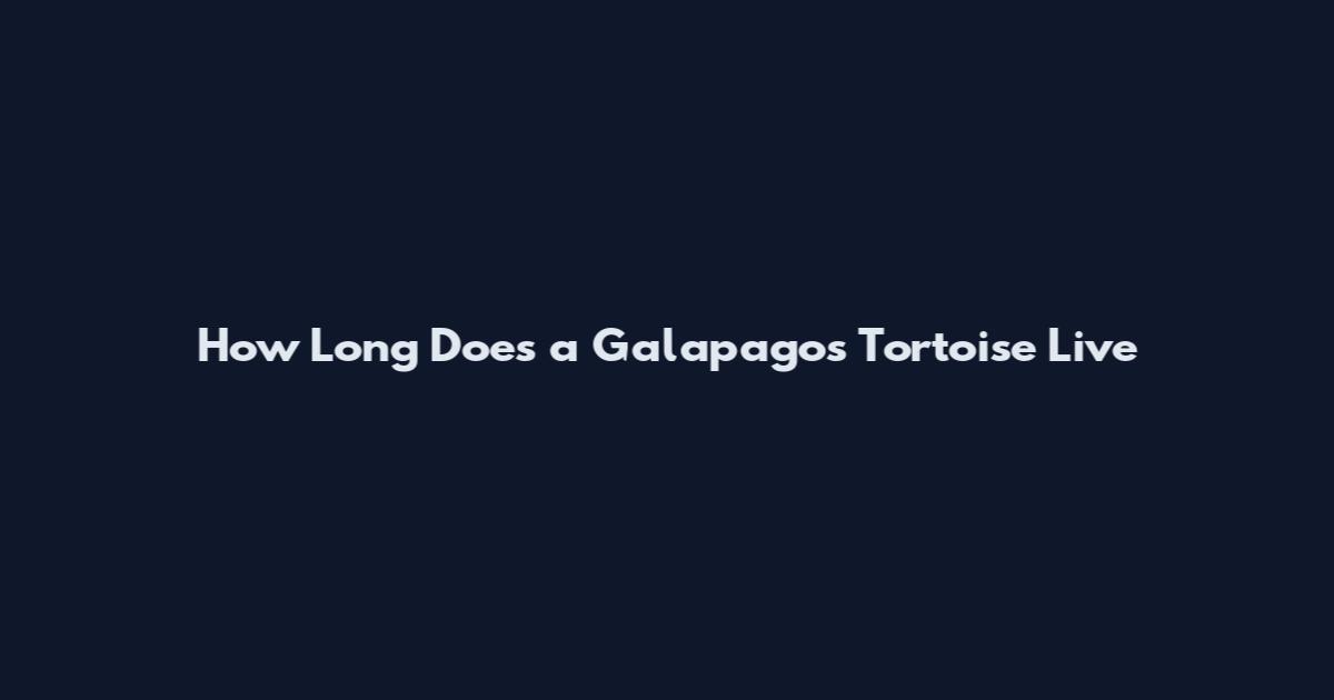 How Long Does a Galapagos Tortoise Live