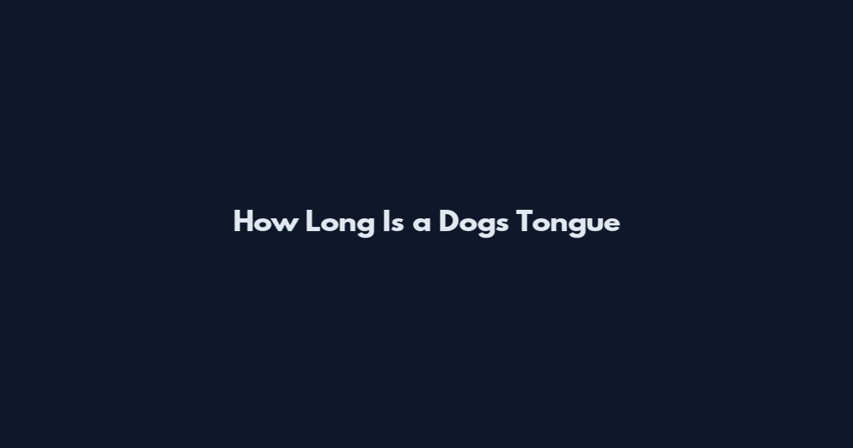 How Long Is a Dog's Tongue