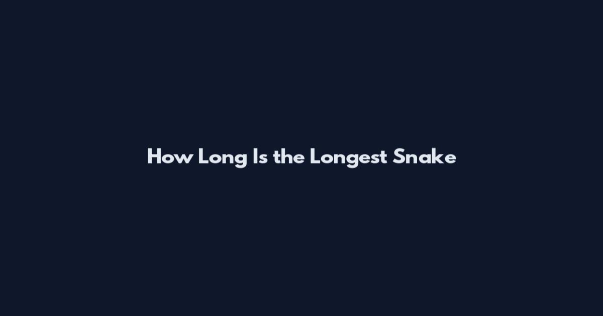 How Long Is the Longest Snake