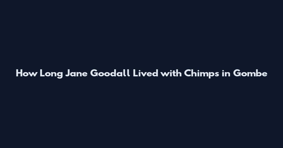 How Long Jane Goodall Lived with Chimps in Gombe