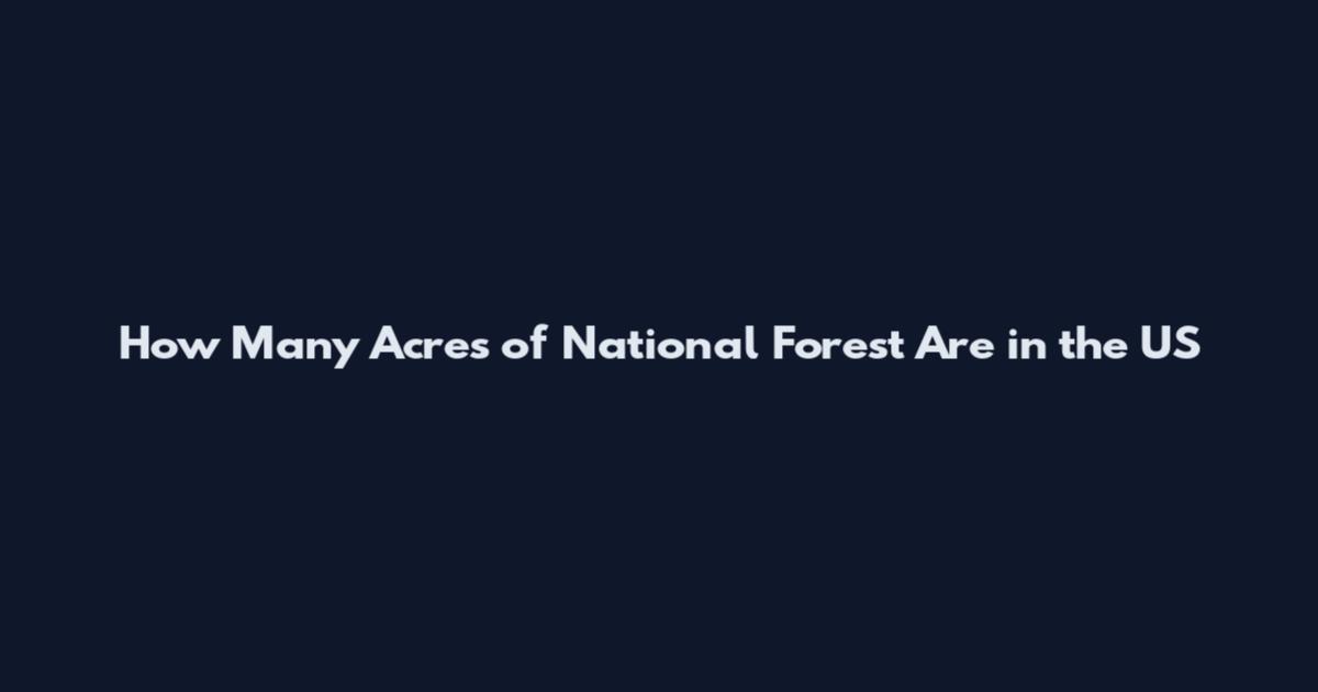 How Many Acres of National Forest Are in the US