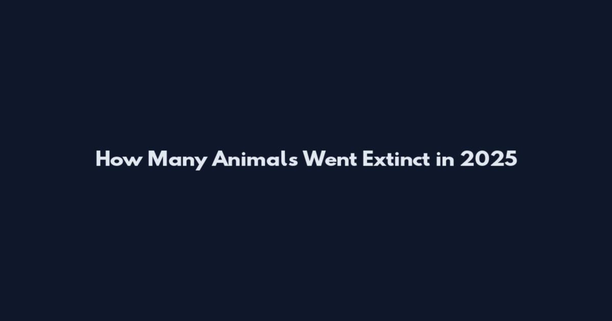 How Many Animals Went Extinct in 2025
