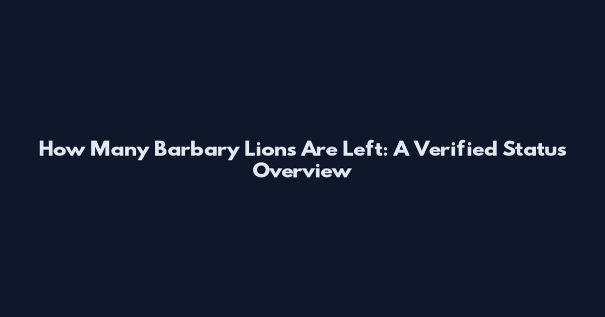 How Many Barbary Lions Are Left: A Verified Status Overview