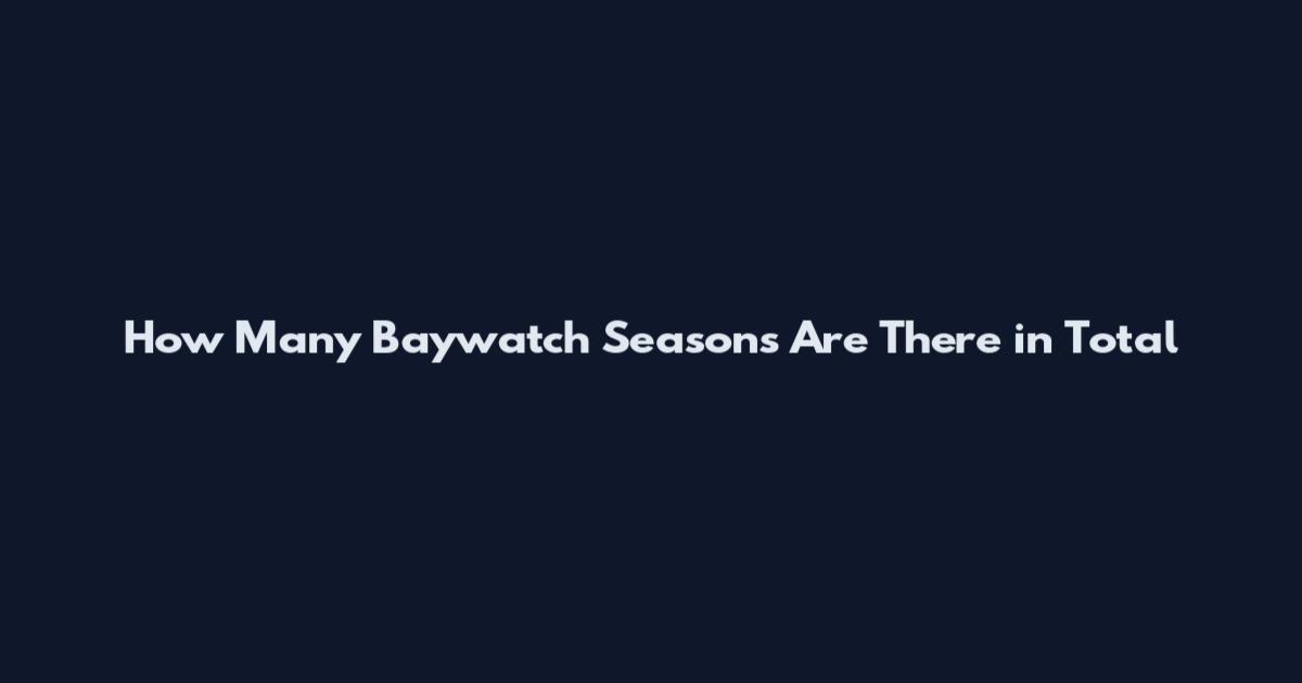 How Many Baywatch Seasons Are There in Total