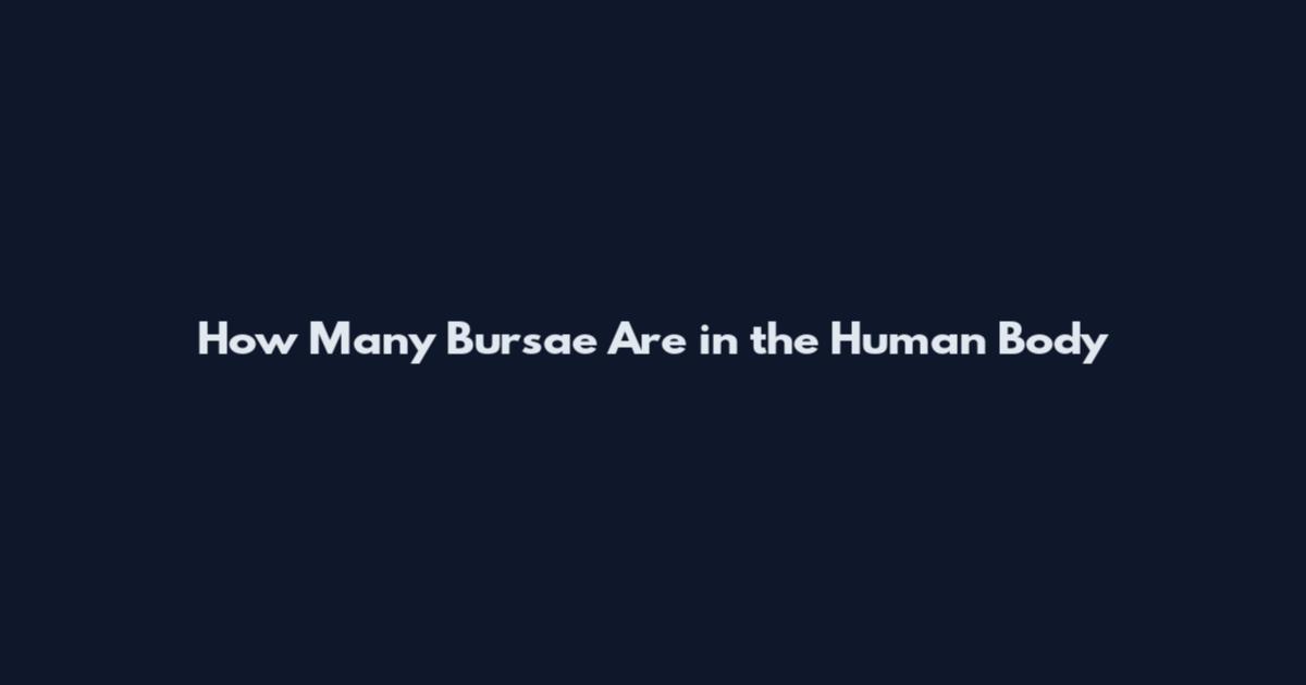 How Many Bursae Are in the Human Body