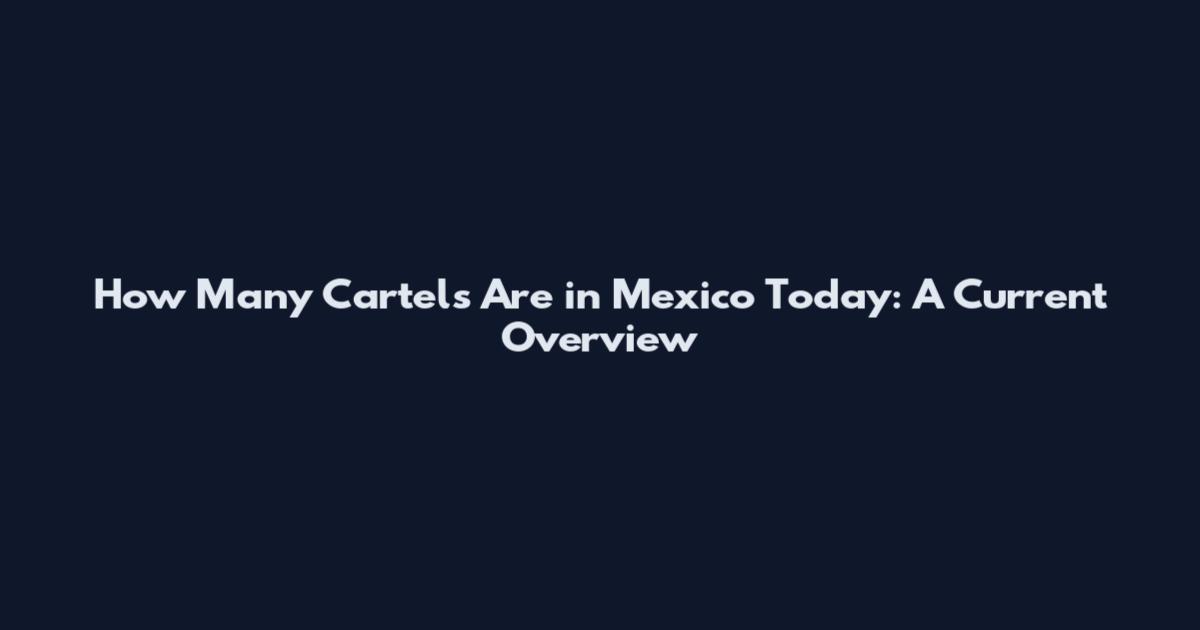 How Many Cartels Are in Mexico Today: A Current Overview