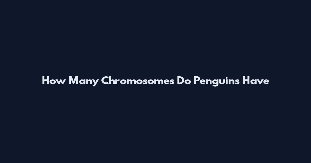 How Many Chromosomes Do Penguins Have