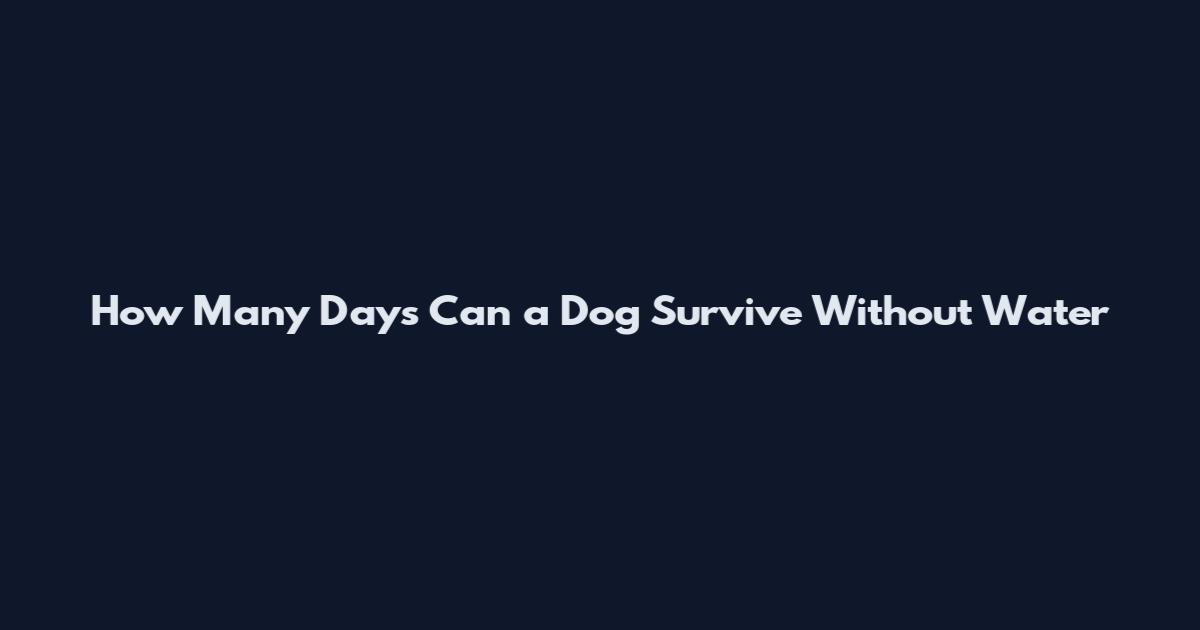 How Many Days Can a Dog Survive Without Water