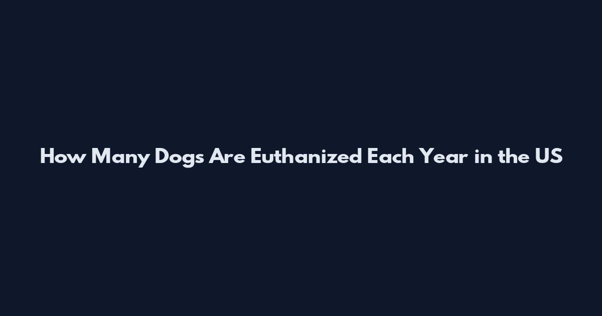 How Many Dogs Are Euthanized Each Year in the US