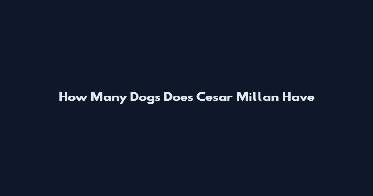 How Many Dogs Does Cesar Millan Have
