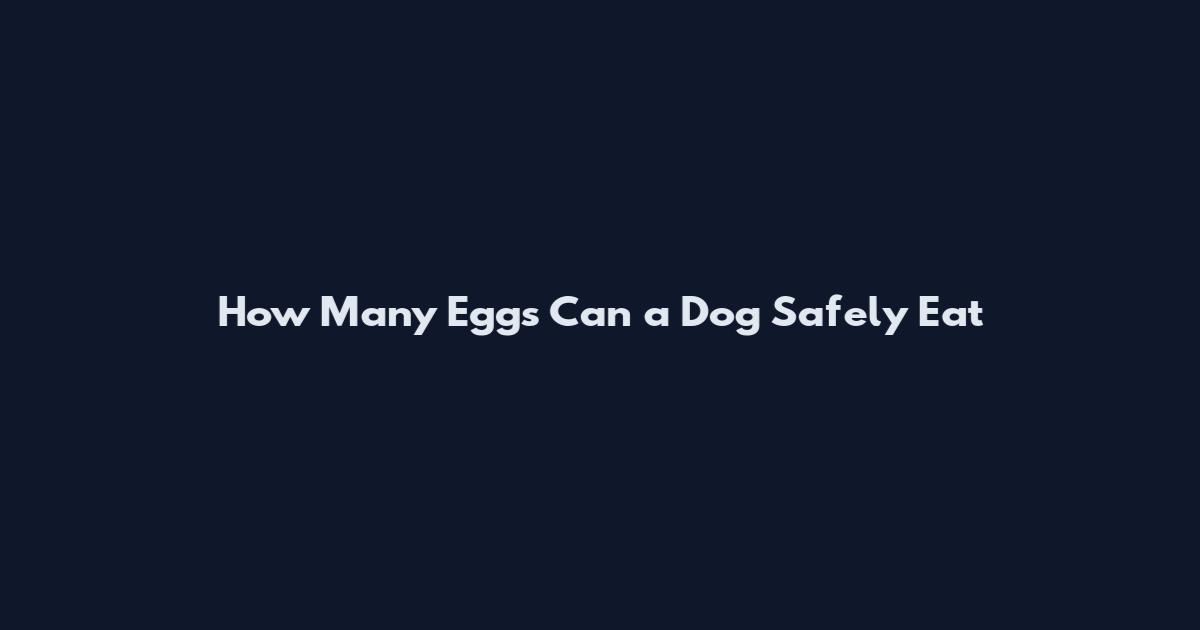 How Many Eggs Can a Dog Safely Eat