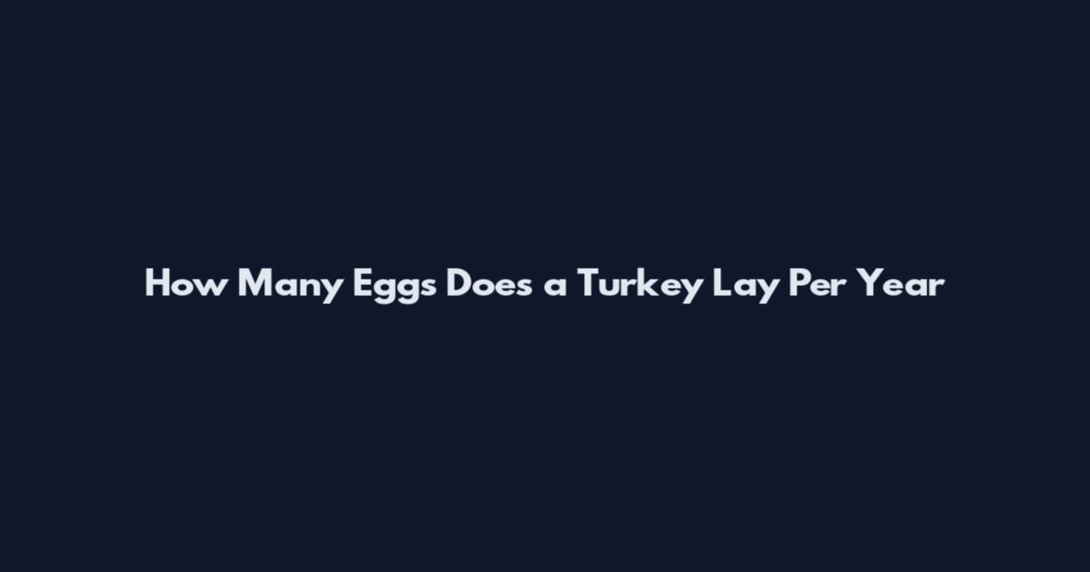 How Many Eggs Does a Turkey Lay Per Year