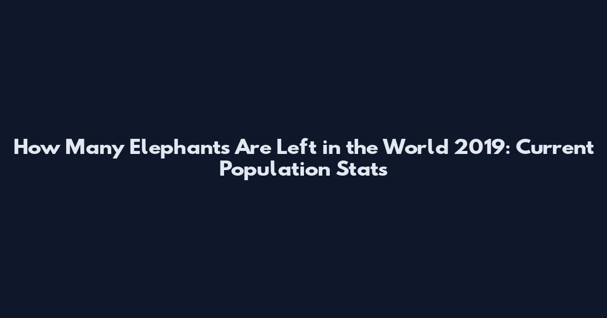 How Many Elephants Are Left in the World 2019: Current Population Stats