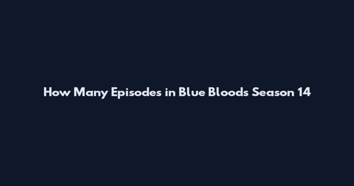 How Many Episodes in Blue Bloods Season 14