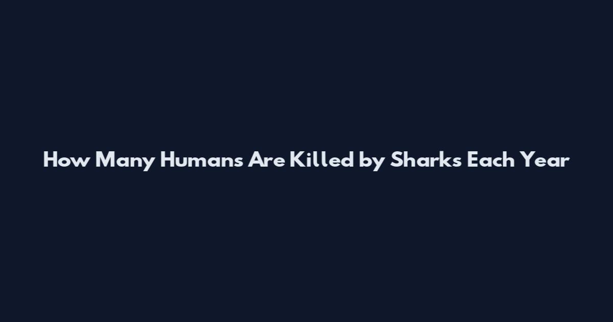 How Many Humans Are Killed by Sharks Each Year