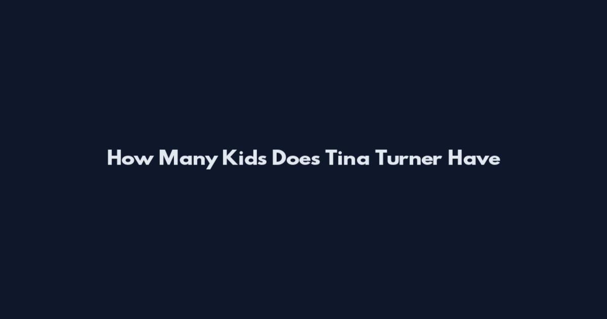 How Many Kids Does Tina Turner Have