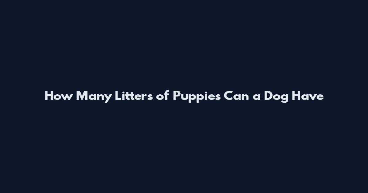 How Many Litters of Puppies Can a Dog Have