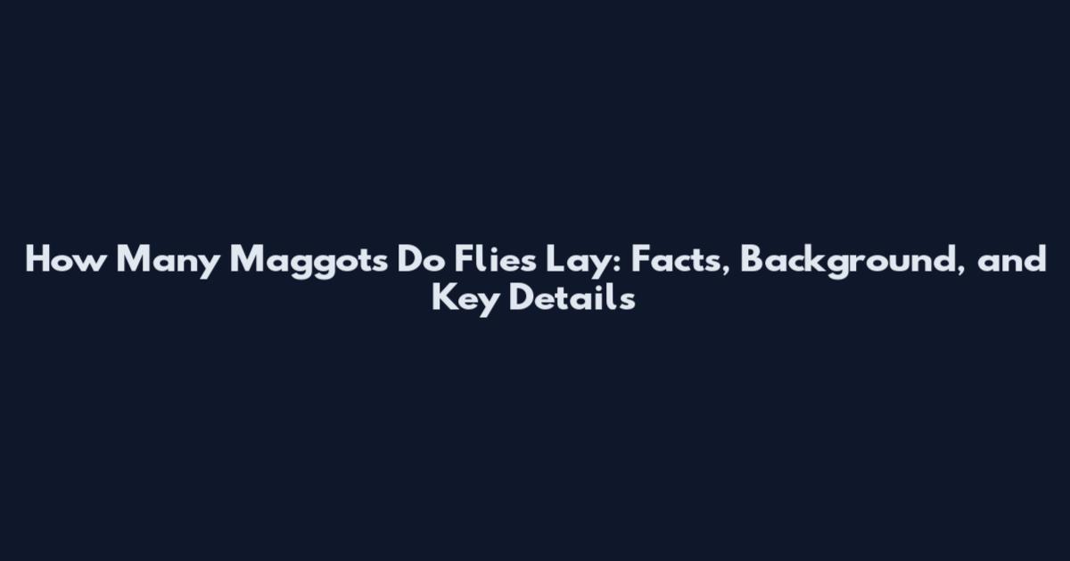 How Many Maggots Do Flies Lay: Facts, Background, and Key Details