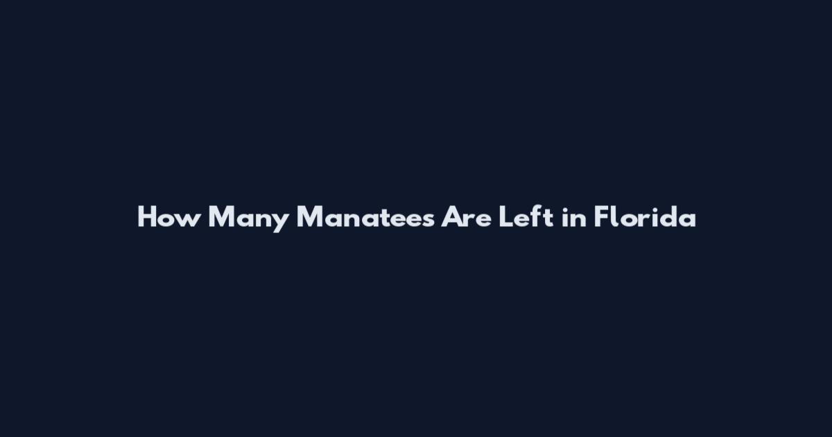 How Many Manatees Are Left in Florida