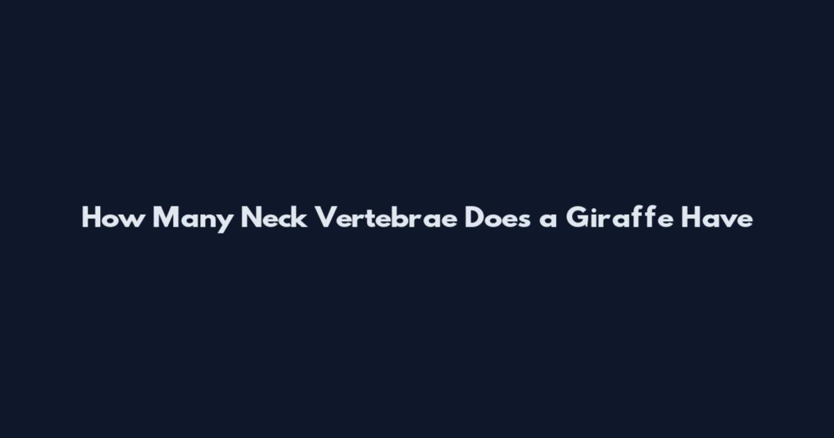 How Many Neck Vertebrae Does a Giraffe Have