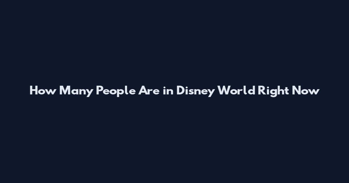 How Many People Are in Disney World Right Now