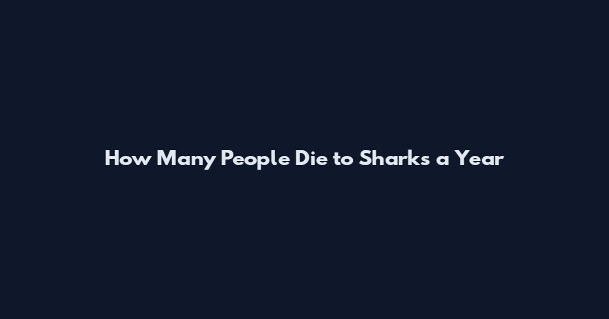 How Many People Die to Sharks a Year