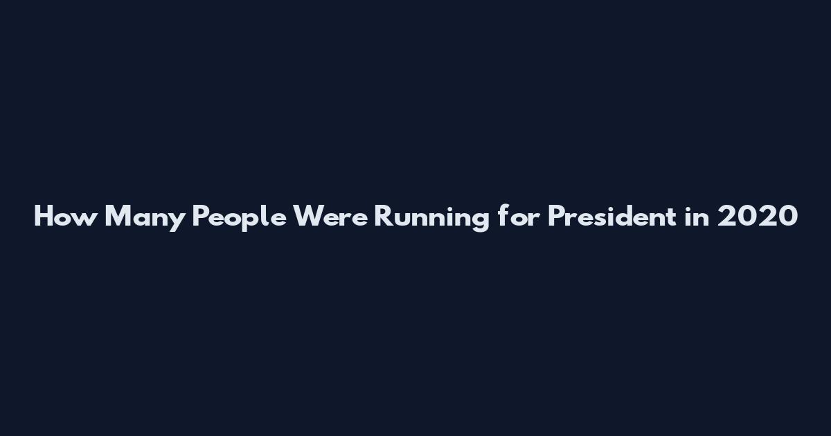 How Many People Were Running for President in 2020