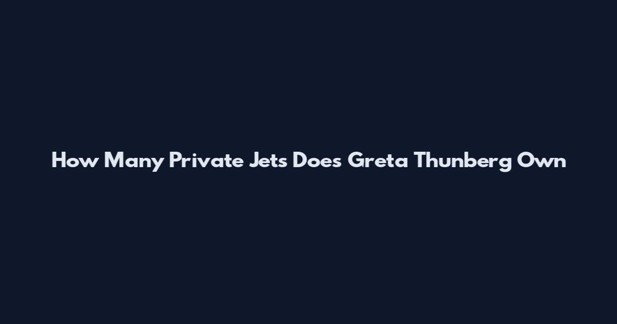 How Many Private Jets Does Greta Thunberg Own