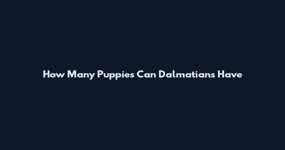 How Many Puppies Can Dalmatians Have